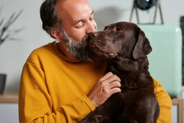 A bearded man in a yellow sweater hugs and kisses a brown Labrador dog indoors.