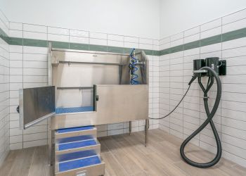 Acclaim at Greenbrier apartment homes with Stainless steel dog wash station with blue steps and attached hoses in a tiled room.